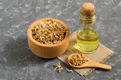 Полезные свойства масла зародышей пшеницы для волос