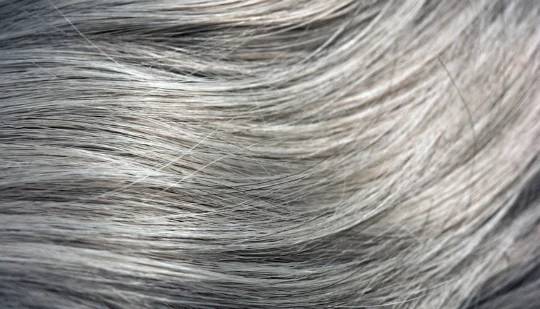 серый цвет волос фото